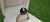 Tahitian Pearls - 3 Must-Know Facts