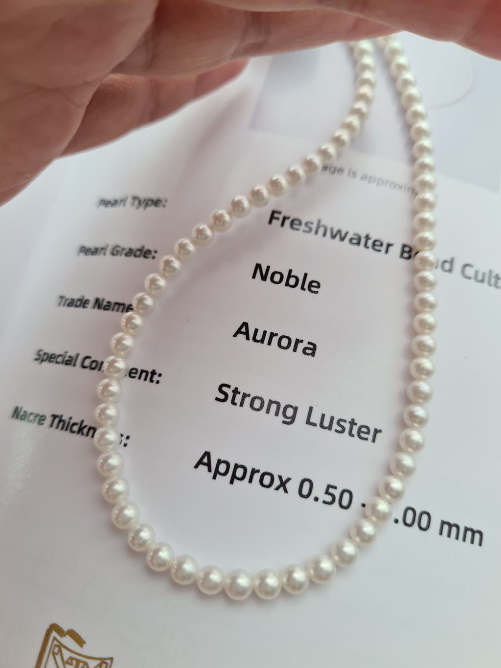 4mm Freshwater Baby Pearl Necklace - with GUILD Certificate, 5 Star Noble Aurora