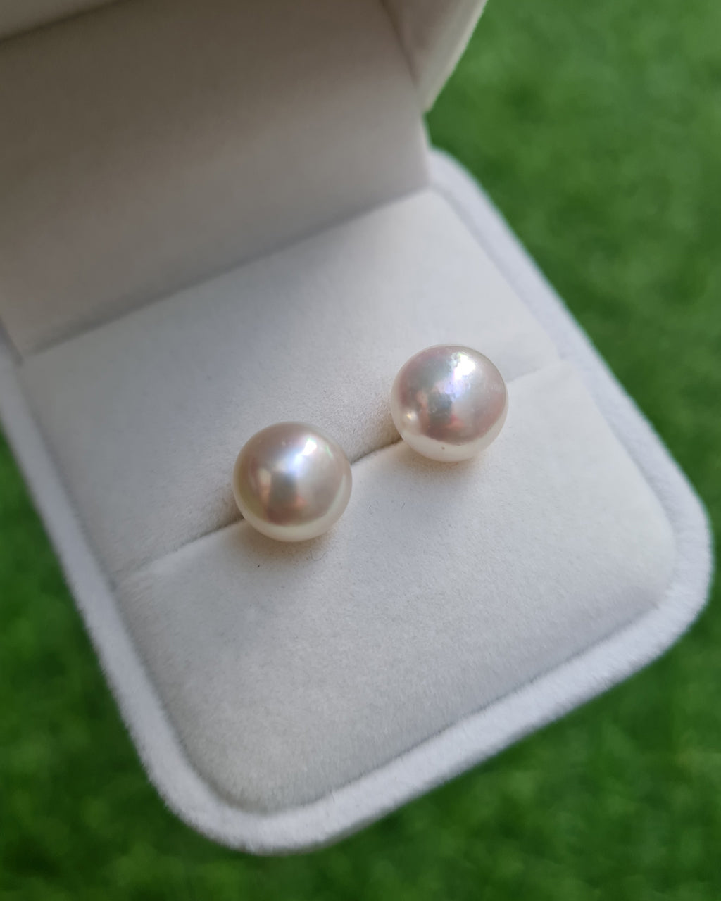 White akoya outlet pearl stud earrings