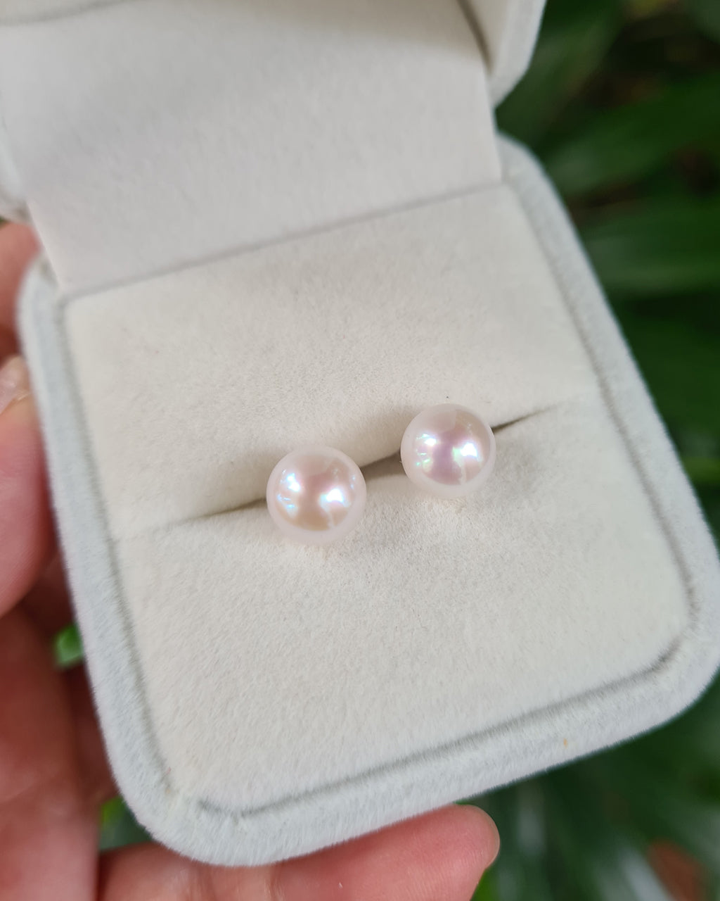 White Akoya Pearl 18K Gold Stud Earrings - 7.5mm to 8mm TEN-NYO