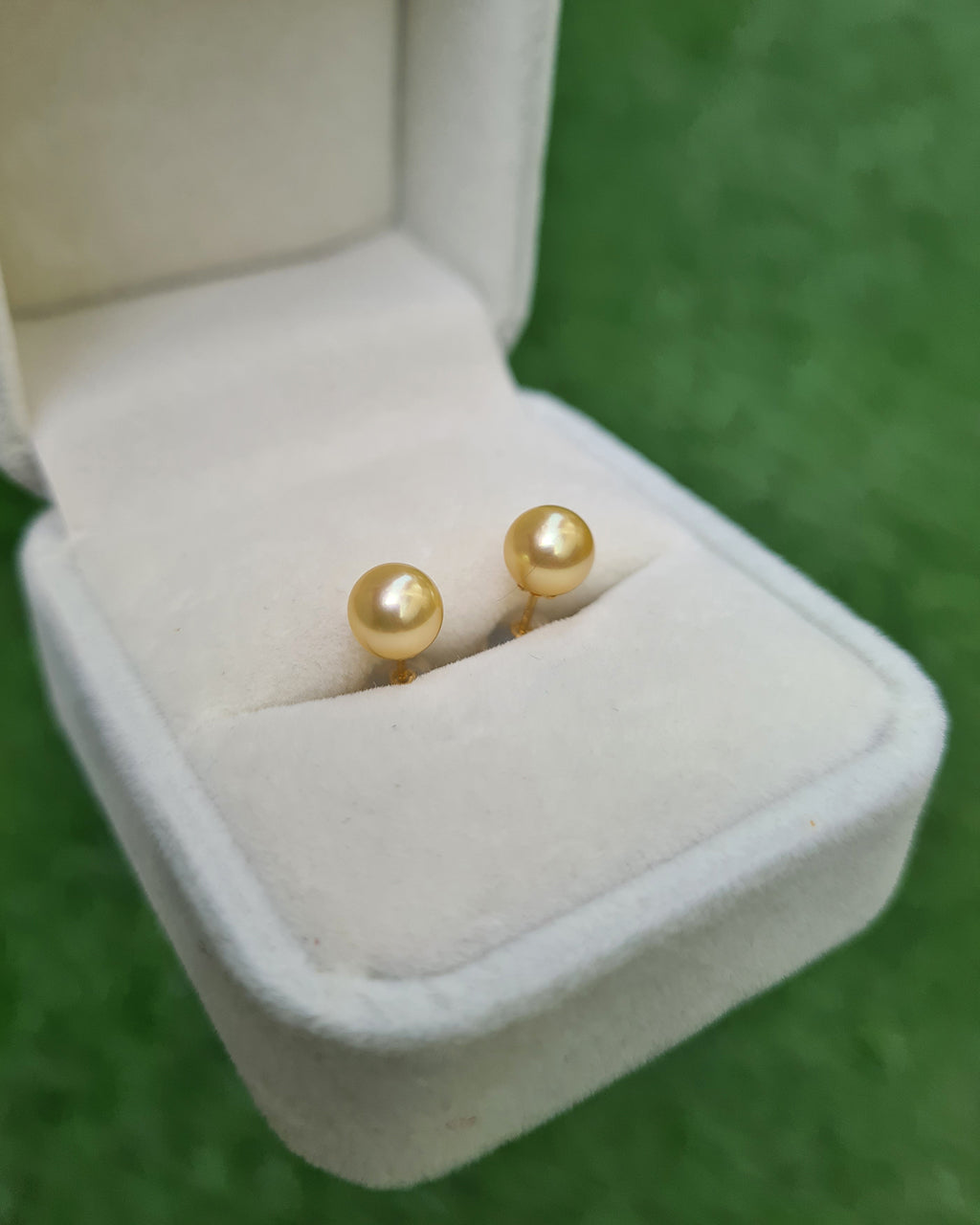 Natural Queen Gold Akoya Sea Pearl 18K Gold Stud Earrings - 6.5mm to 7mm