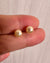 Queen Gold Akoya Sea Pearls 18K Gold Stud Earrings - 5.5mm to 6mm