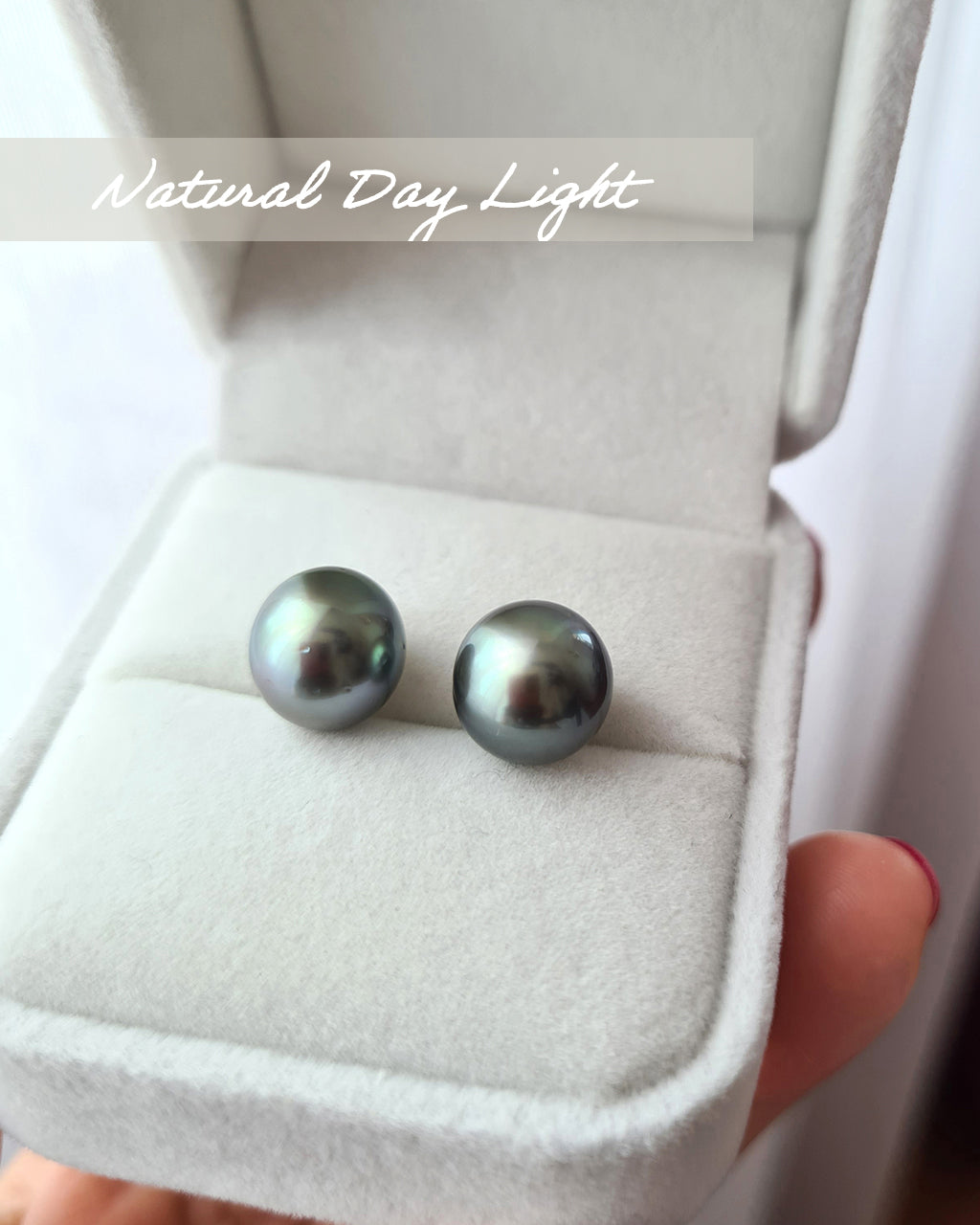 Tahitian Pearl Stud Earrings 10mm Sea Pearl Jewelry