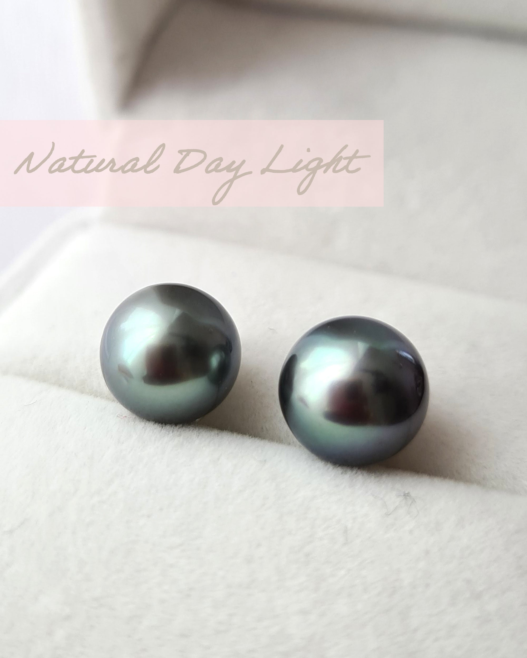 Tahitian Pearl Stud Earrings 8mm | Sea Water Salt Water Pearl | 925 Sterling Silver